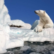 Teaser blogbericht strijden tegen klimaatcrisis