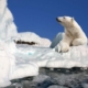 Teaser blogbericht strijden tegen klimaatcrisis