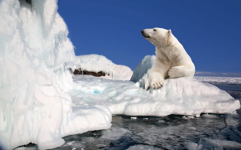 Teaser blogbericht strijden tegen klimaatcrisis
